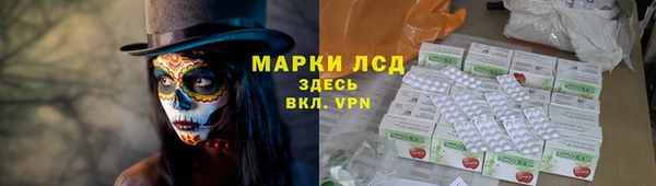 ECSTASY Майский