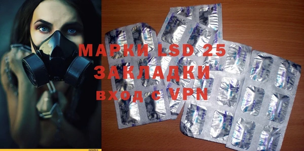 ECSTASY Майский