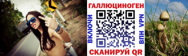 как найти закладки  мега ТОР  Галлюциногенные грибы MAGIC MUSHROOMS  Олёкминск 